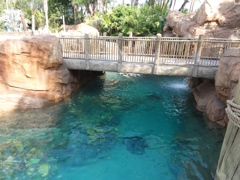 DSC07974.JPG