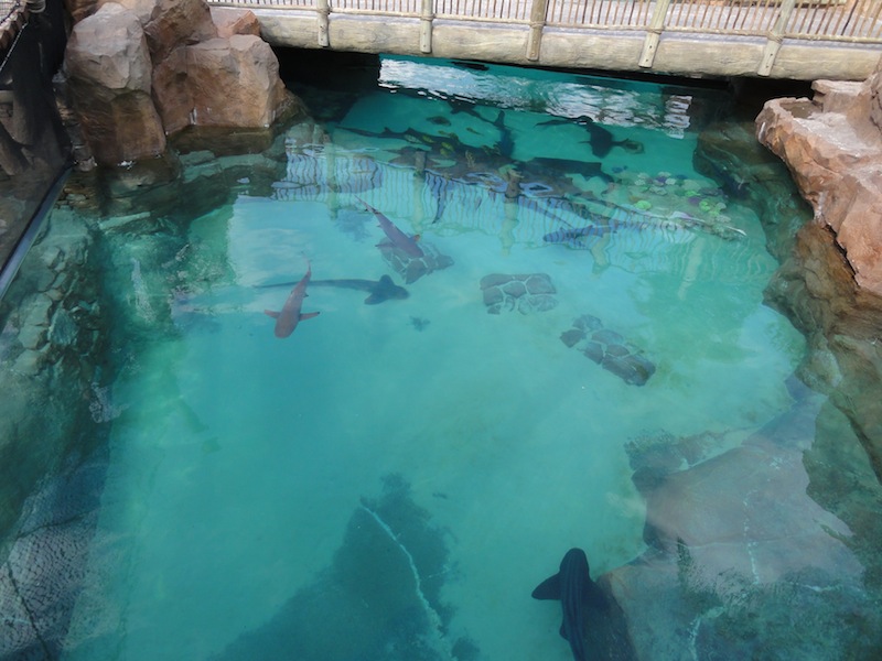 DSC07981.JPG