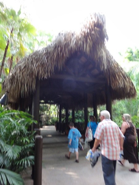 DSC08015.JPG
