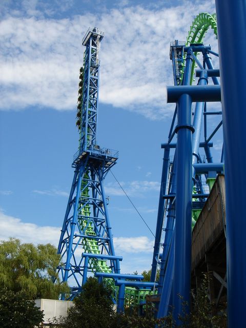 DSC08442.JPG