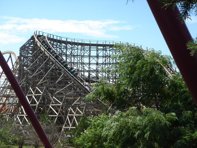DSC08460.JPG