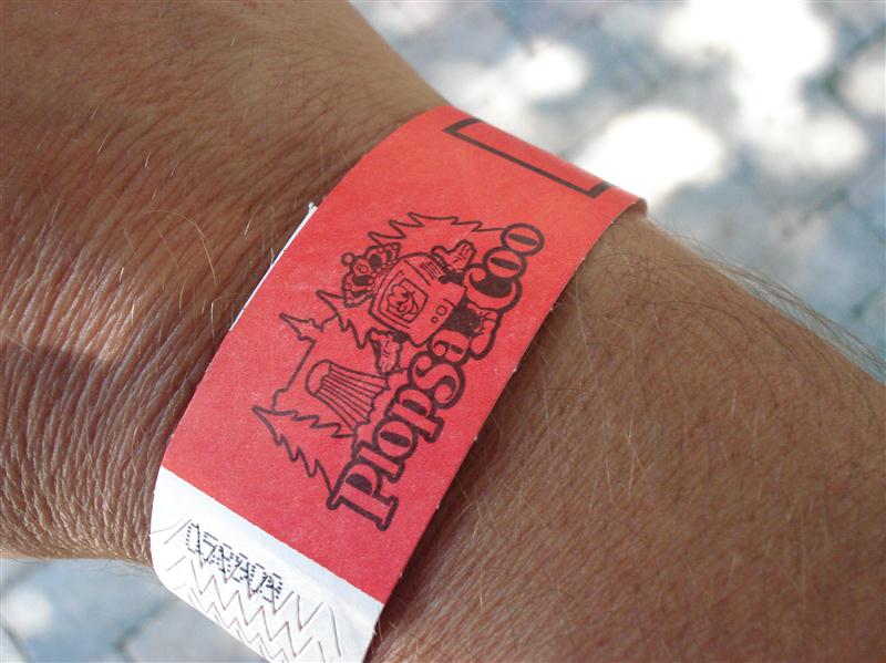 DSC08568 (Medium).JPG