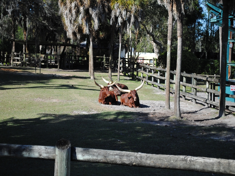 DSC_0179.JPG