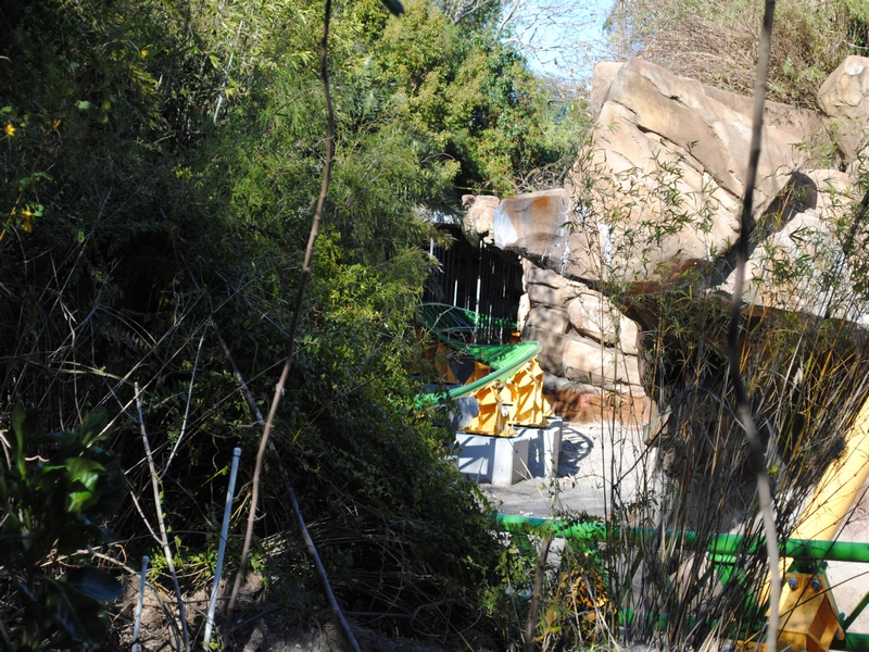 DSC_0191.JPG