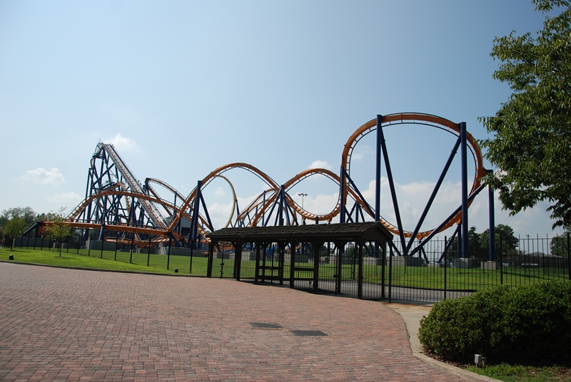 DSC_1001.jpg