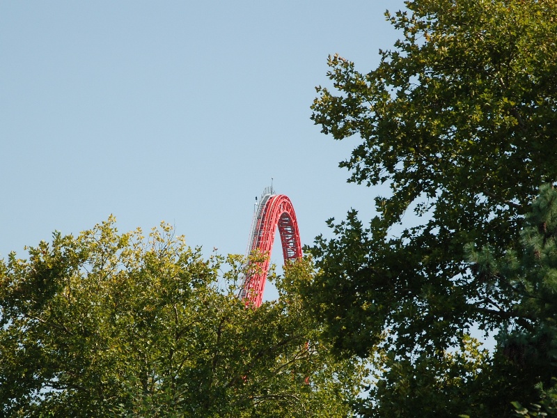 DSC_1006.jpg