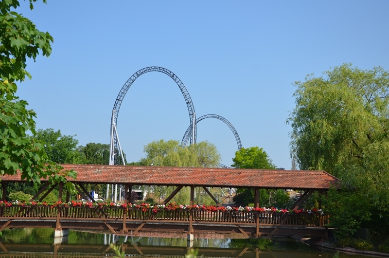 dsc_4947.jpg