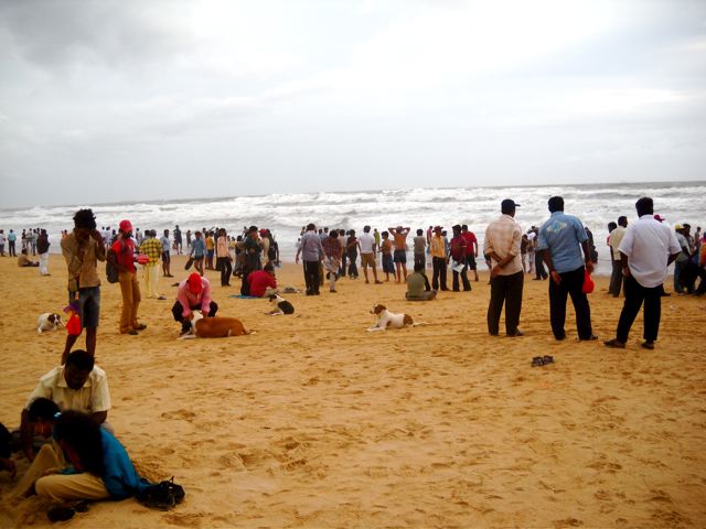 DSCN1989.jpg