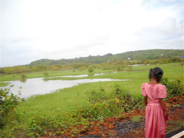 DSCN2017.jpg