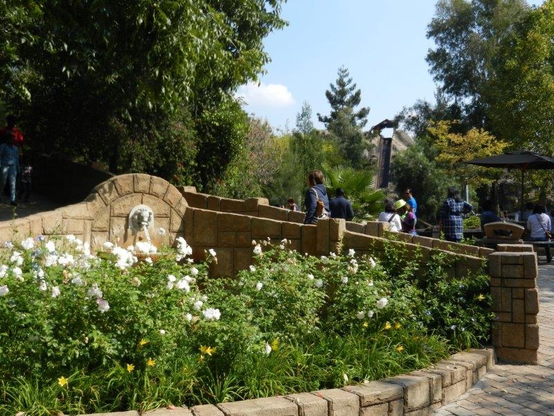 DSCN2849.jpg
