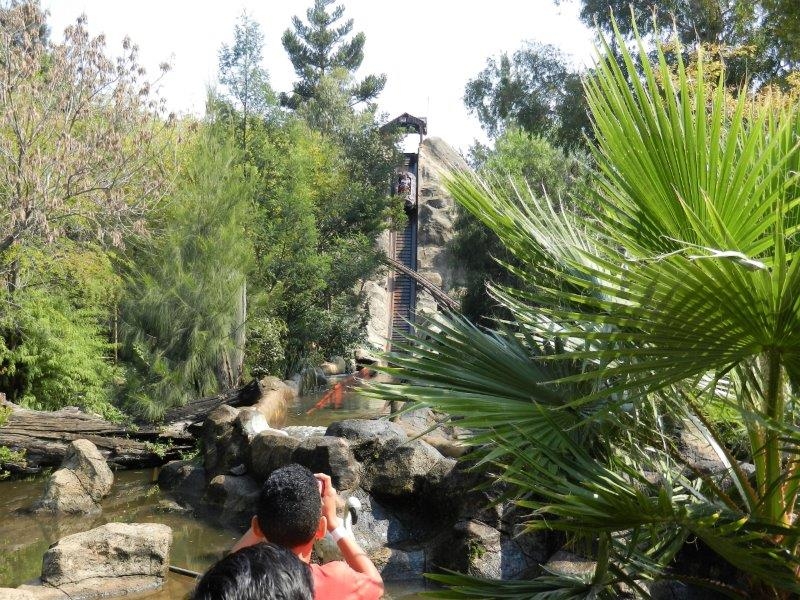 DSCN2850.jpg