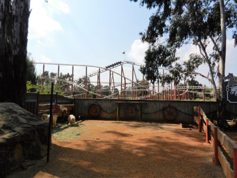 DSCN2890.jpg