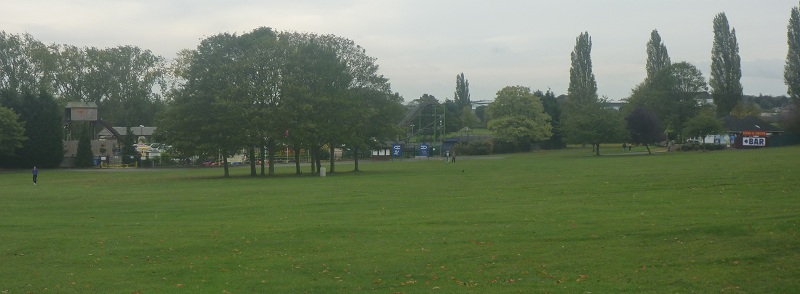 Field 1.JPG