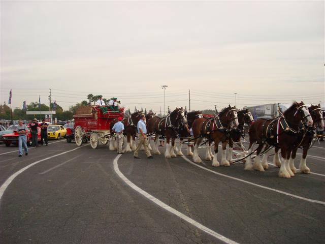 Florida and Pomona 07 484 (Small).jpg