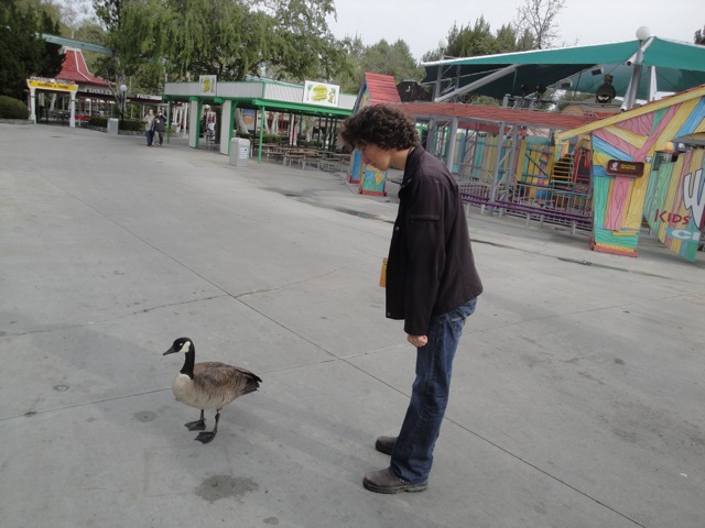 geese8.JPG