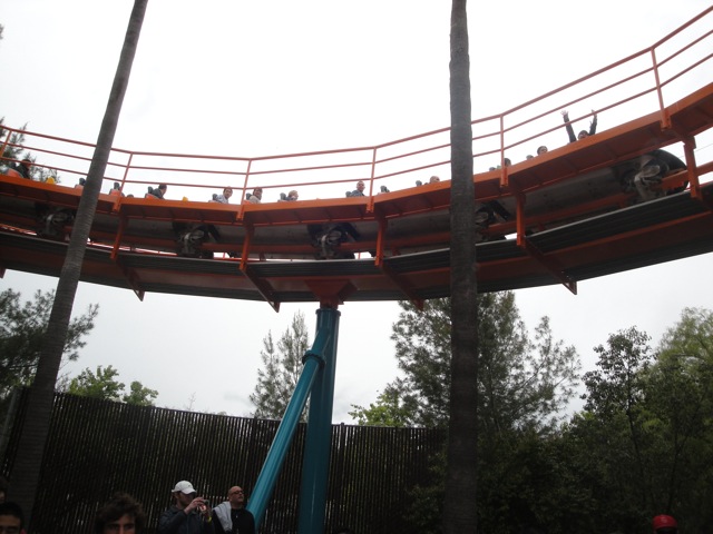 goliath88.JPG