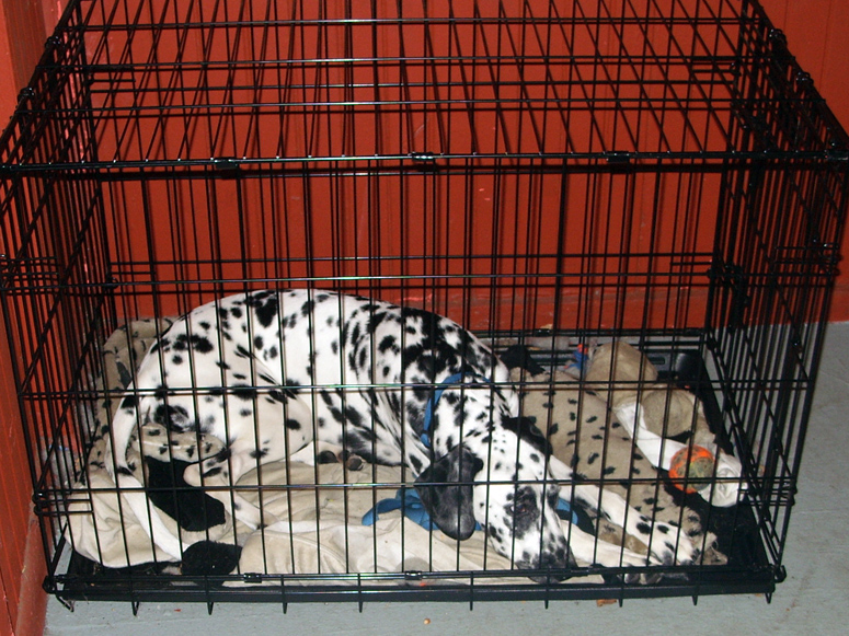 image008.jpg