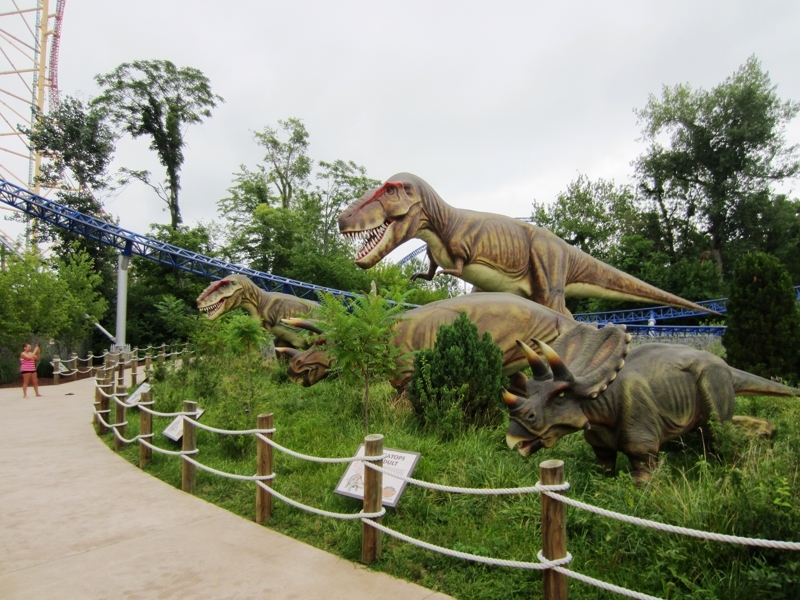 IMG_0028B (Copy).JPG