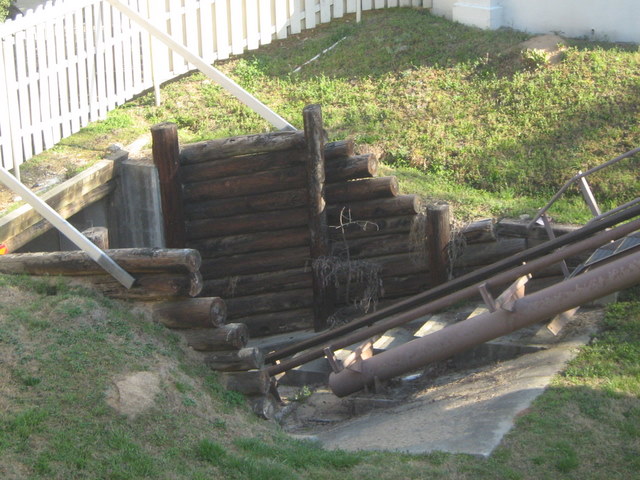 IMG_1161.jpg
