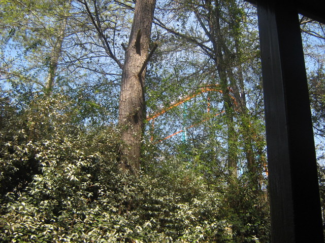 IMG_1174.jpg