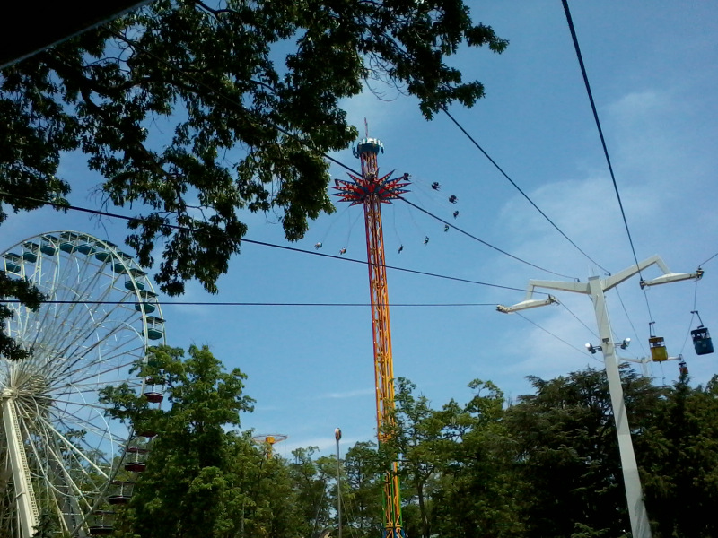 IMG_20120517_124605.JPG