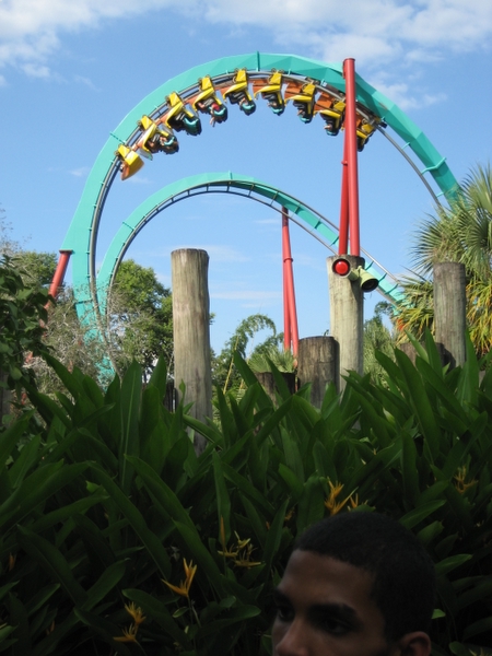 IMG_2435.jpg