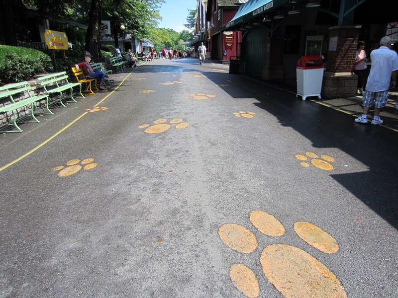 IMG_2492 (Copy).JPG