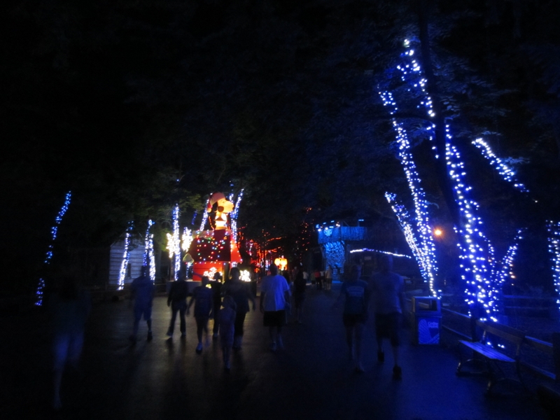 IMG_2760 (Copy).JPG