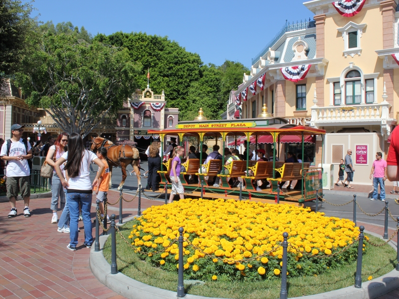 IMG_6266 (Copy).JPG