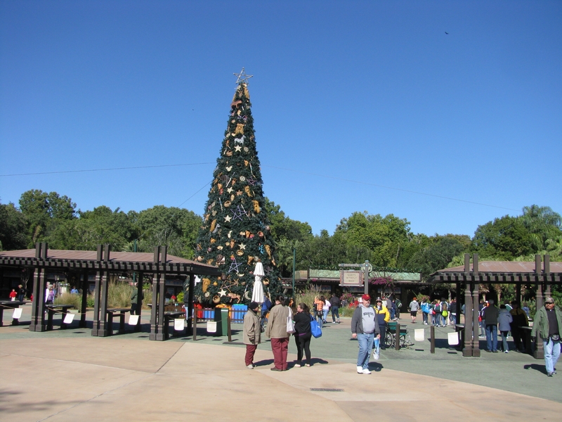 IMG_6285.JPG