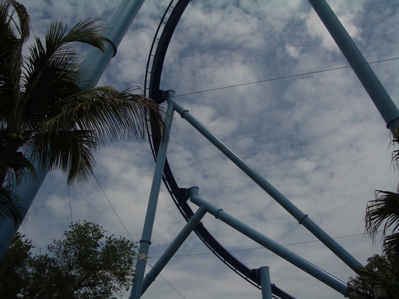 IMGP0533.JPG