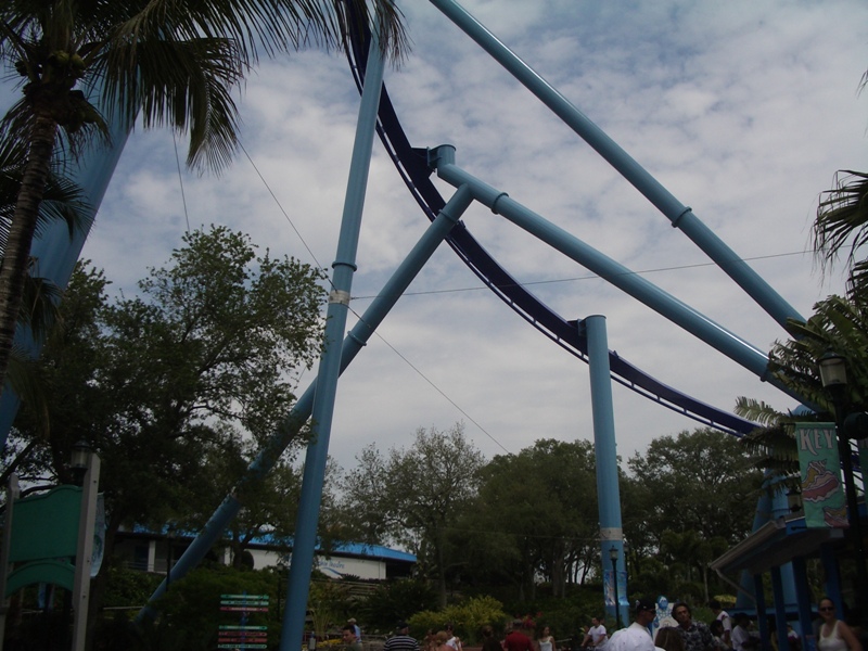 IMGP0534.JPG