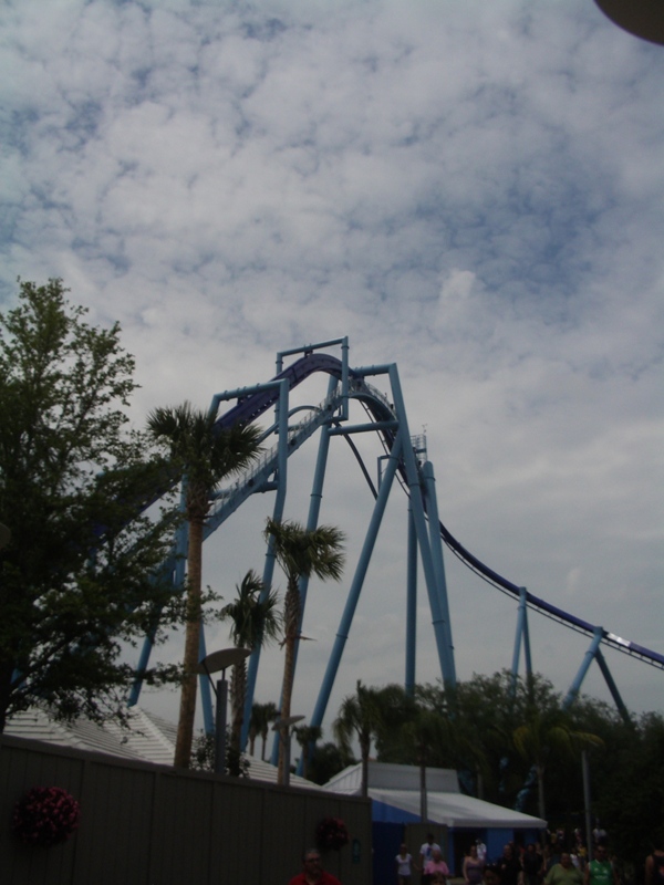 IMGP0598.JPG