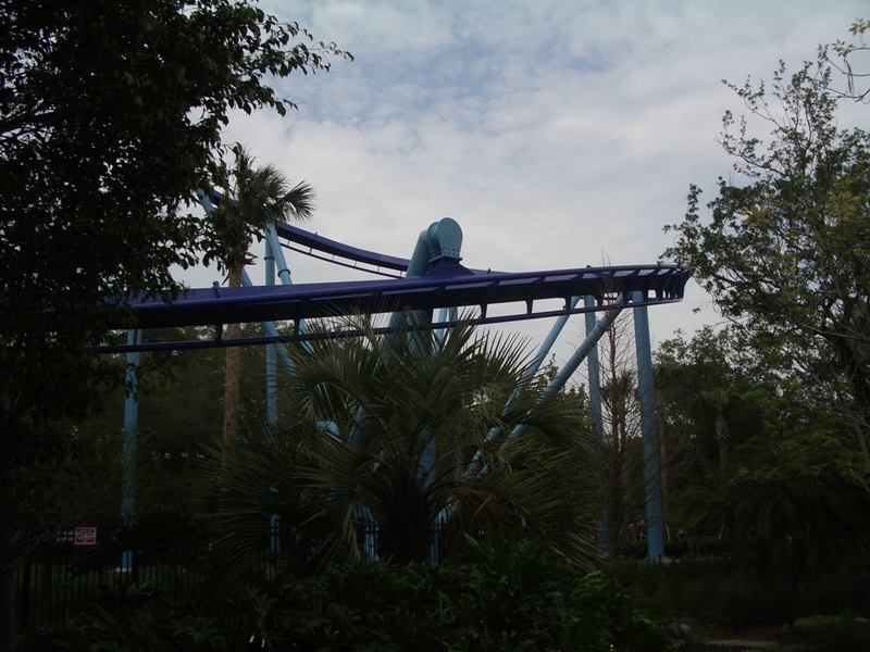 IMGP0618.JPG