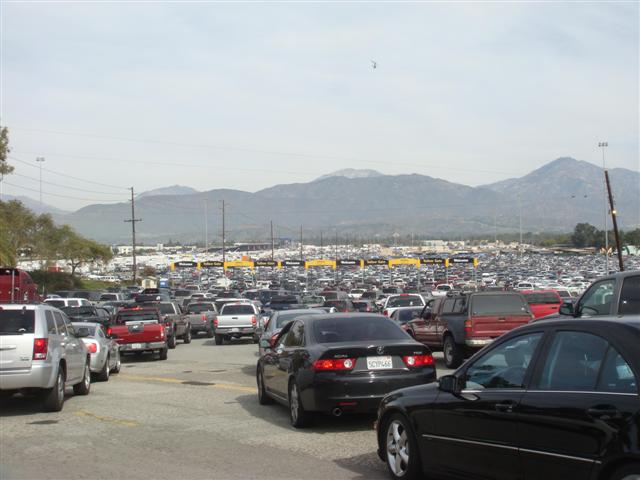 justin_race_01 (Small).jpg