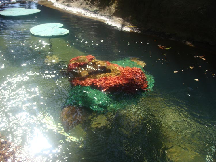 legoland_tr_05.jpg