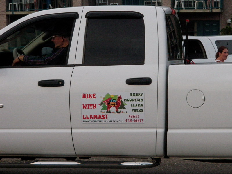 P5087170a.jpg