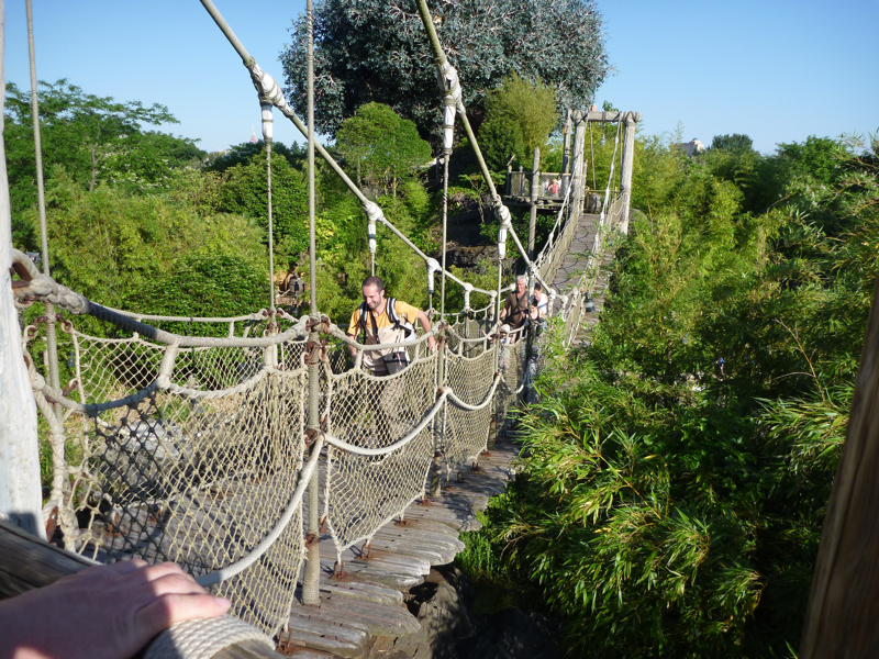 Part1Disney41.jpg