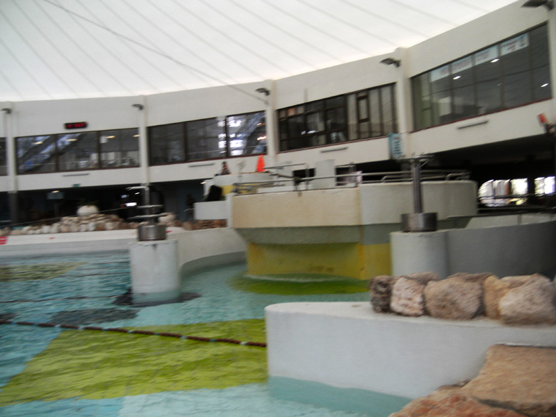 PICT0031.JPG