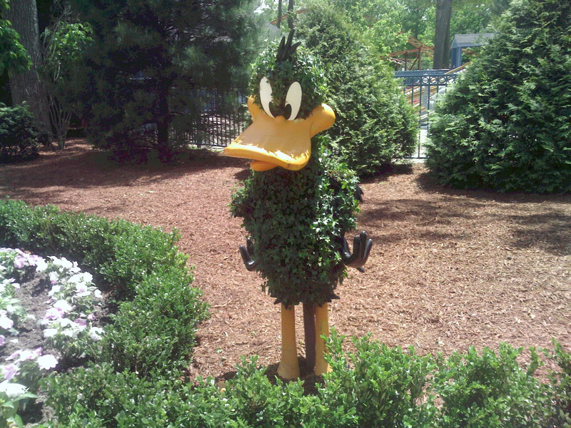 PICT0195.JPG