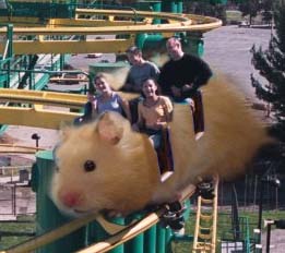 RatTums Mouse Ride.jpg