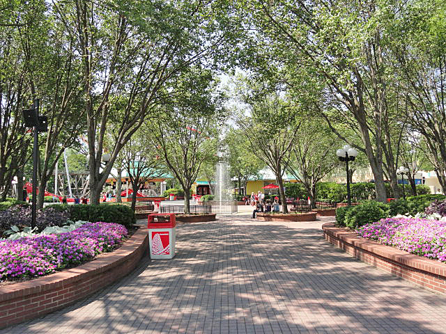 shady area