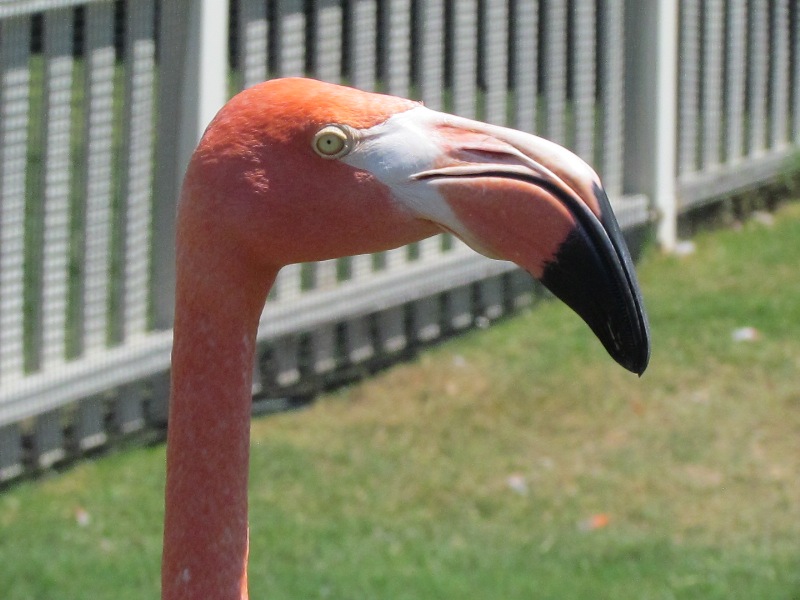 sw34.JPG
