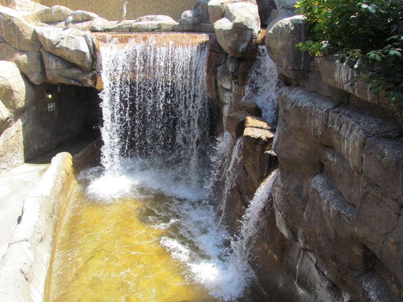 sw70.JPG