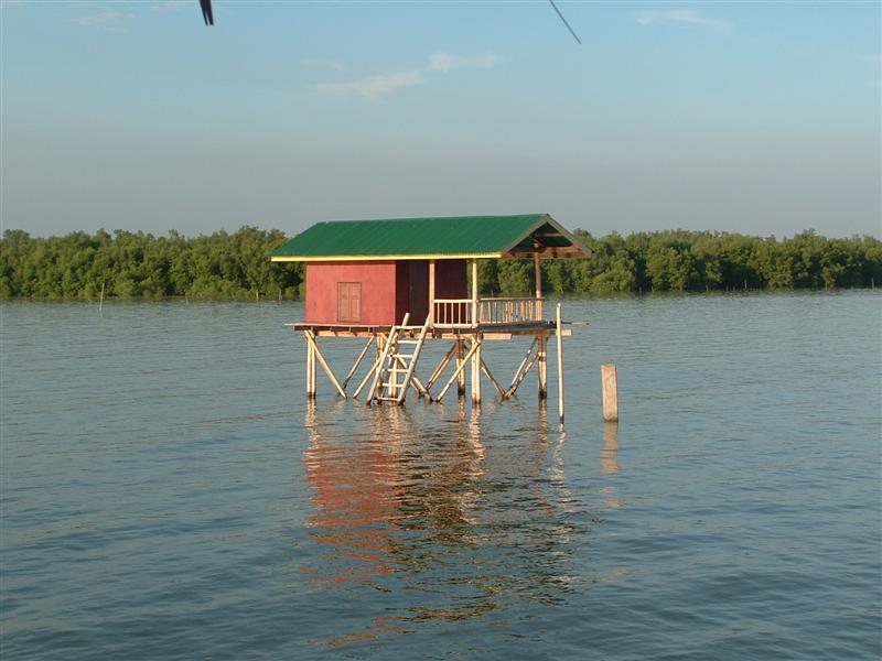 Thailand and Tokyo 267 (Medium).jpg
