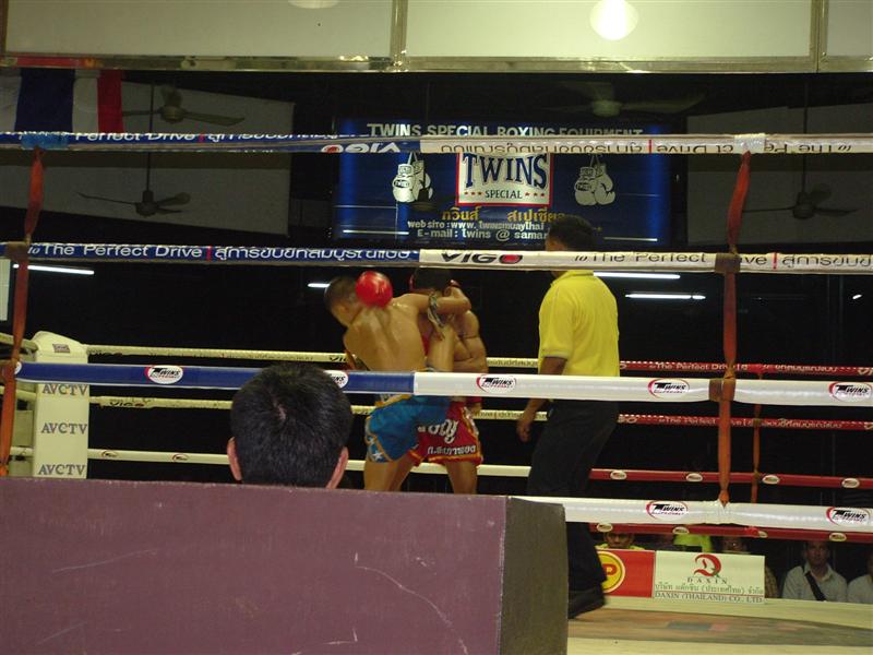 Thailand and Tokyo 329 (Medium).jpg