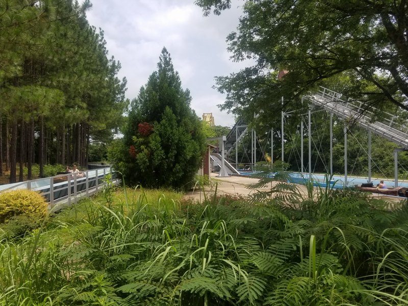 20170702_132730.jpg (1.04 MiB) Viewed 3037 times 20170702_132730.jpg