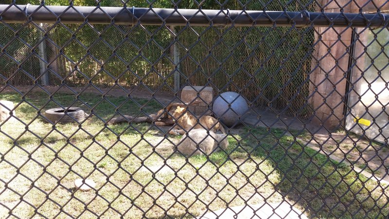 20170923_122213.jpg (982.88 KiB) Viewed 1405 times 20170923_122213.jpg
