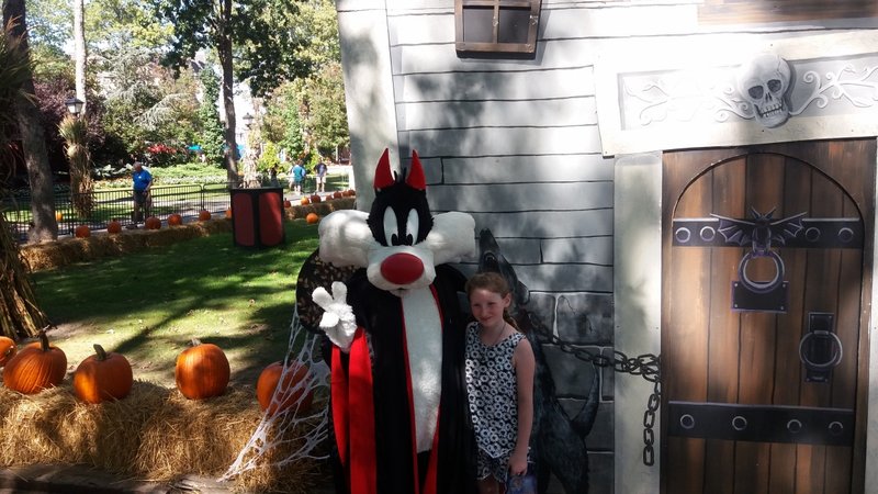 20170923_134740.jpg (686.61 KiB) Viewed 1405 times 20170923_134740.jpg