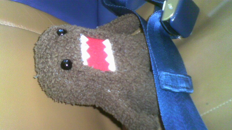 2.Domo Seatbelt.JPG (1.47 MiB) Viewed 755 times 2.Domo Seatbelt.JPG